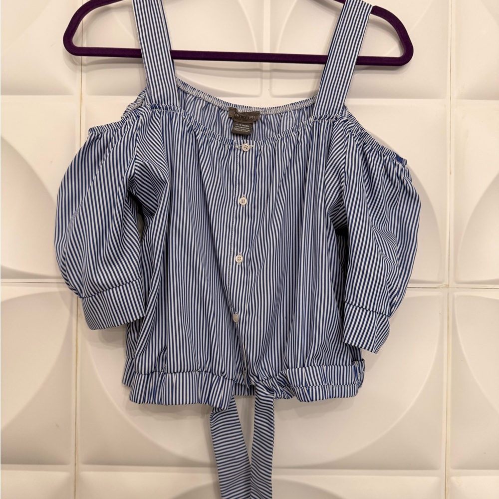 Sans Souci Blue and White Striped Crop Top